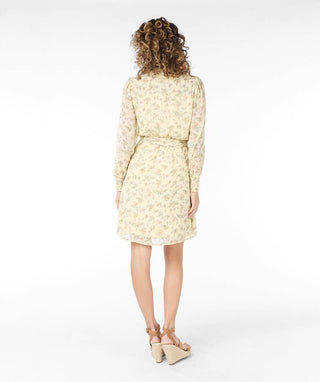 Belted Spring Dress