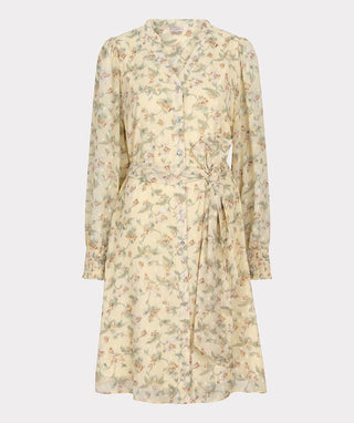 Belted Spring Dress