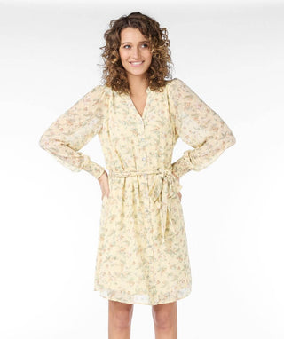 Belted Spring Dress
