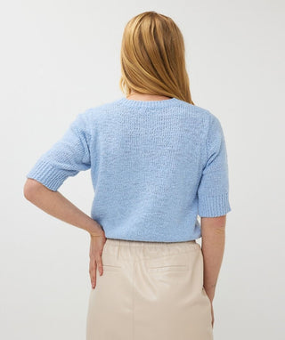 Short Sleeve Sequin Sweater