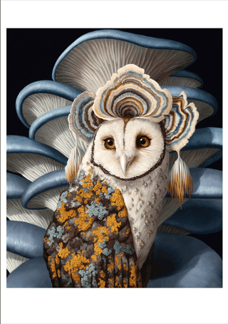 Jon Ching: Supernatural Boxed Notecards