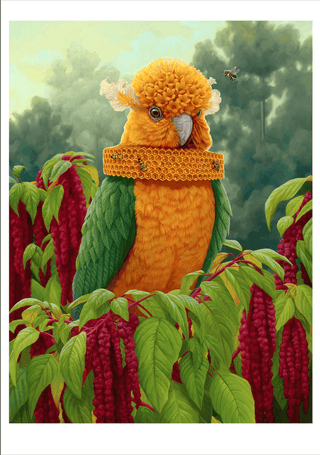 Jon Ching: Supernatural Boxed Notecards