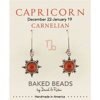 Zodiac Stone Earring Capricorn