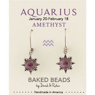 Zodiac Stone Earring Aquarius