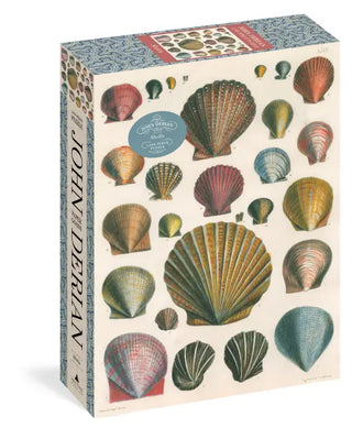 John Derian: Shells