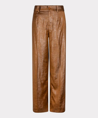 Metallic Trousers