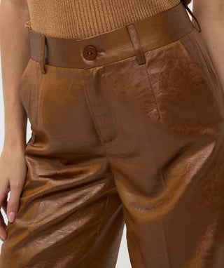 Metallic Trousers